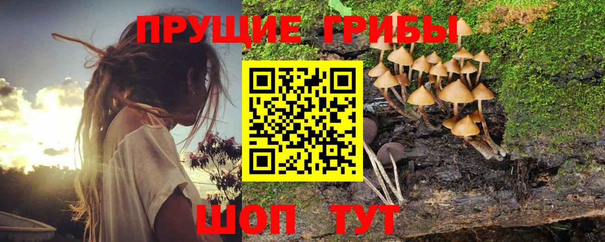 Галлюциногенные грибы MAGIC MUSHROOMS Химки