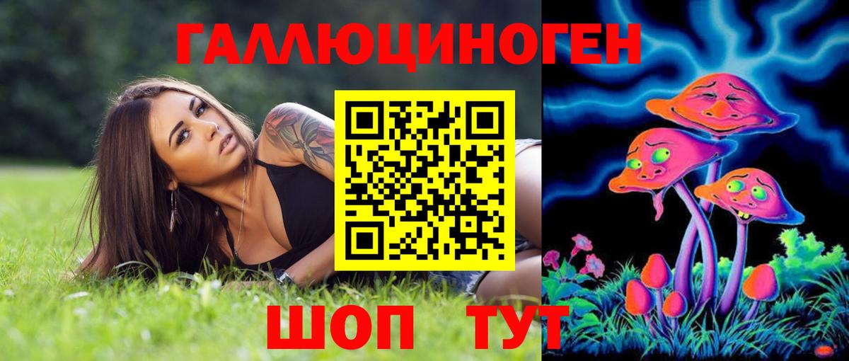 Галлюциногенные грибы MAGIC MUSHROOMS  Псилоцибиновые грибы прущие грибы  Химки  Вход с VPN 